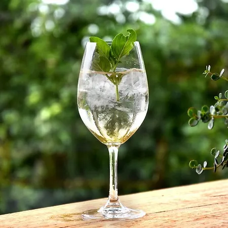 Отель Wellnessgarten-hotel Вагинг-ам-Зе